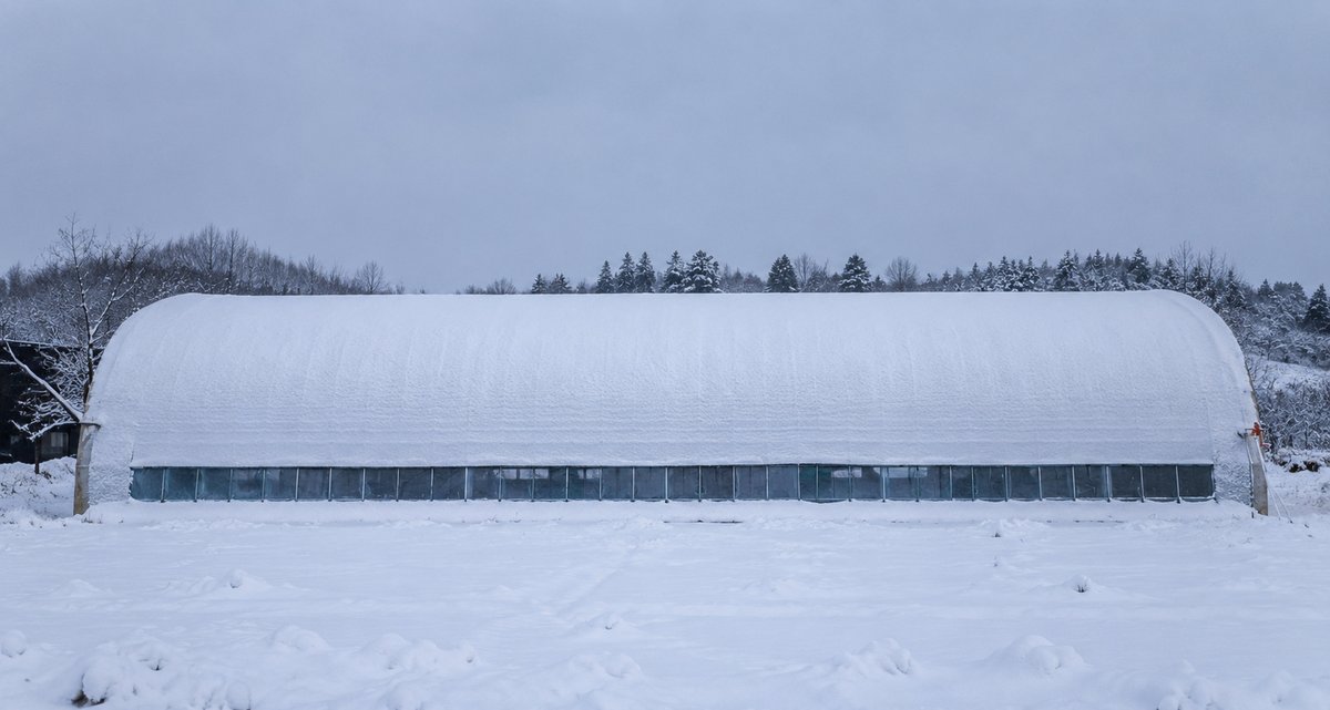 大雪天气中温室覆盖黑色保温棉被的应用场景