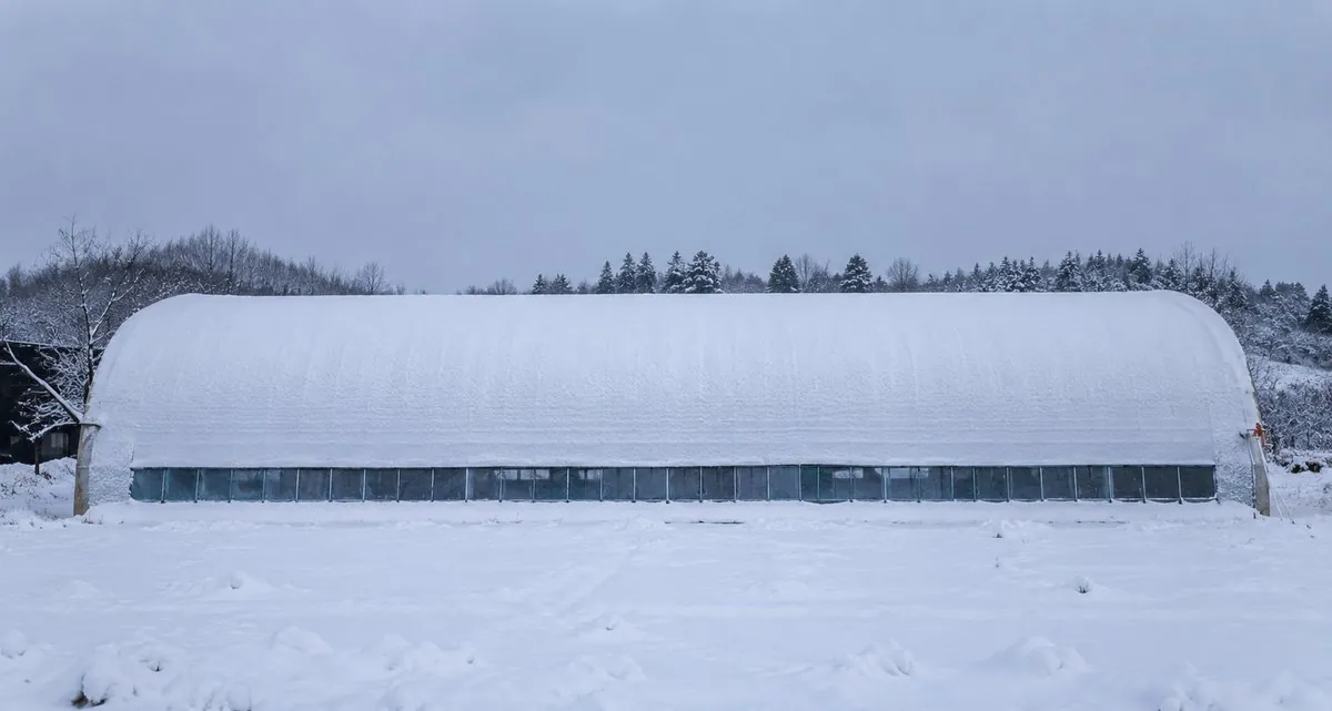 大雪天气中的温室冬季应用场景